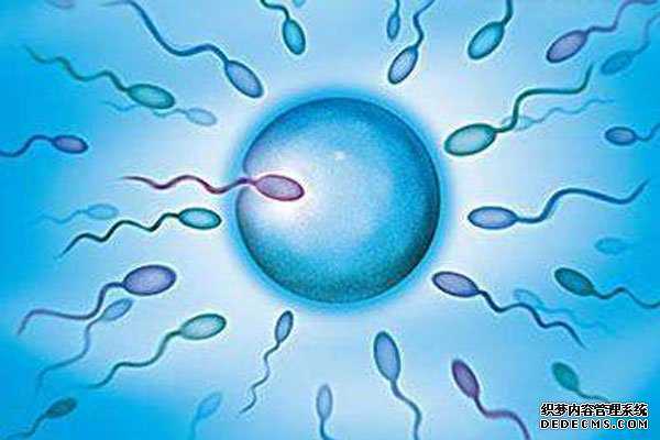接受供卵成功率_供卵一般要等多久_第二代试管婴儿对精子有哪些要求？【二代