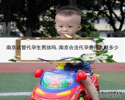 南京专业代孕套餐|试管婴儿促排中，如何选择促排方