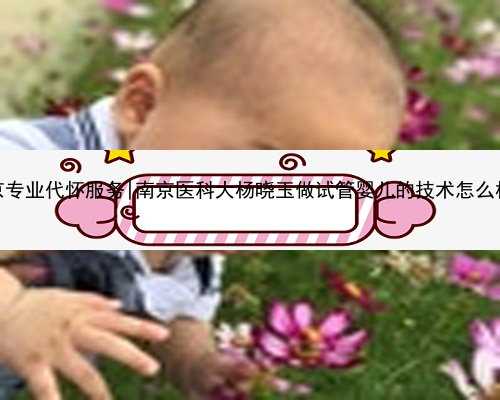南京专业代怀服务|南京医科大杨晓玉做试管婴儿的技
